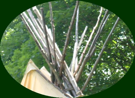 IMGP0206